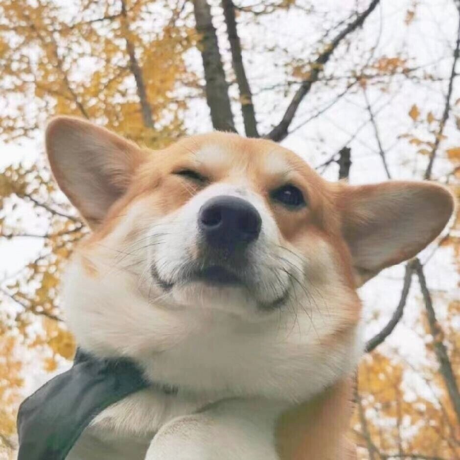 阳光宅男