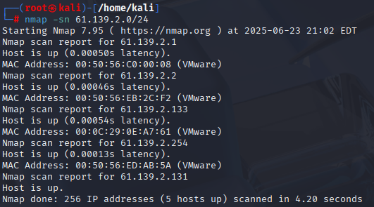 nmap -sn