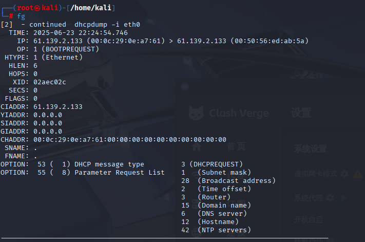dhcpdump -i eth0