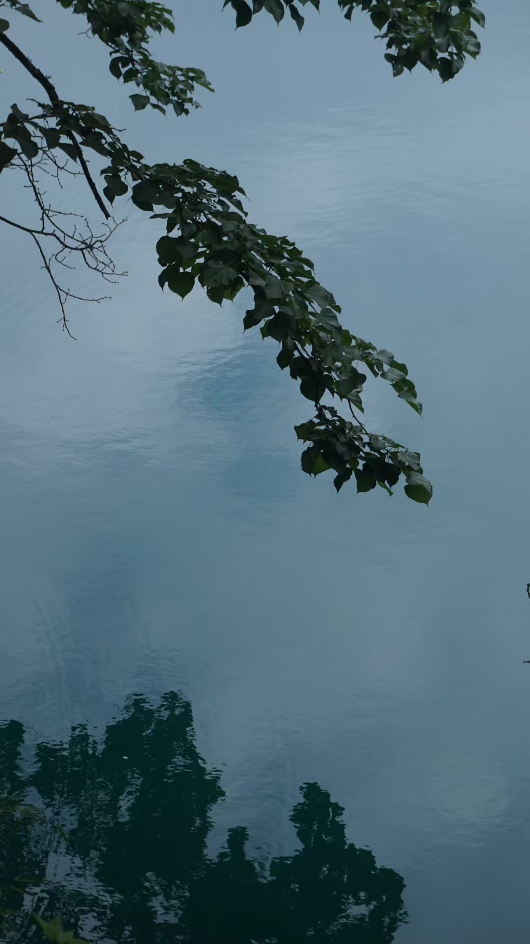 notion image