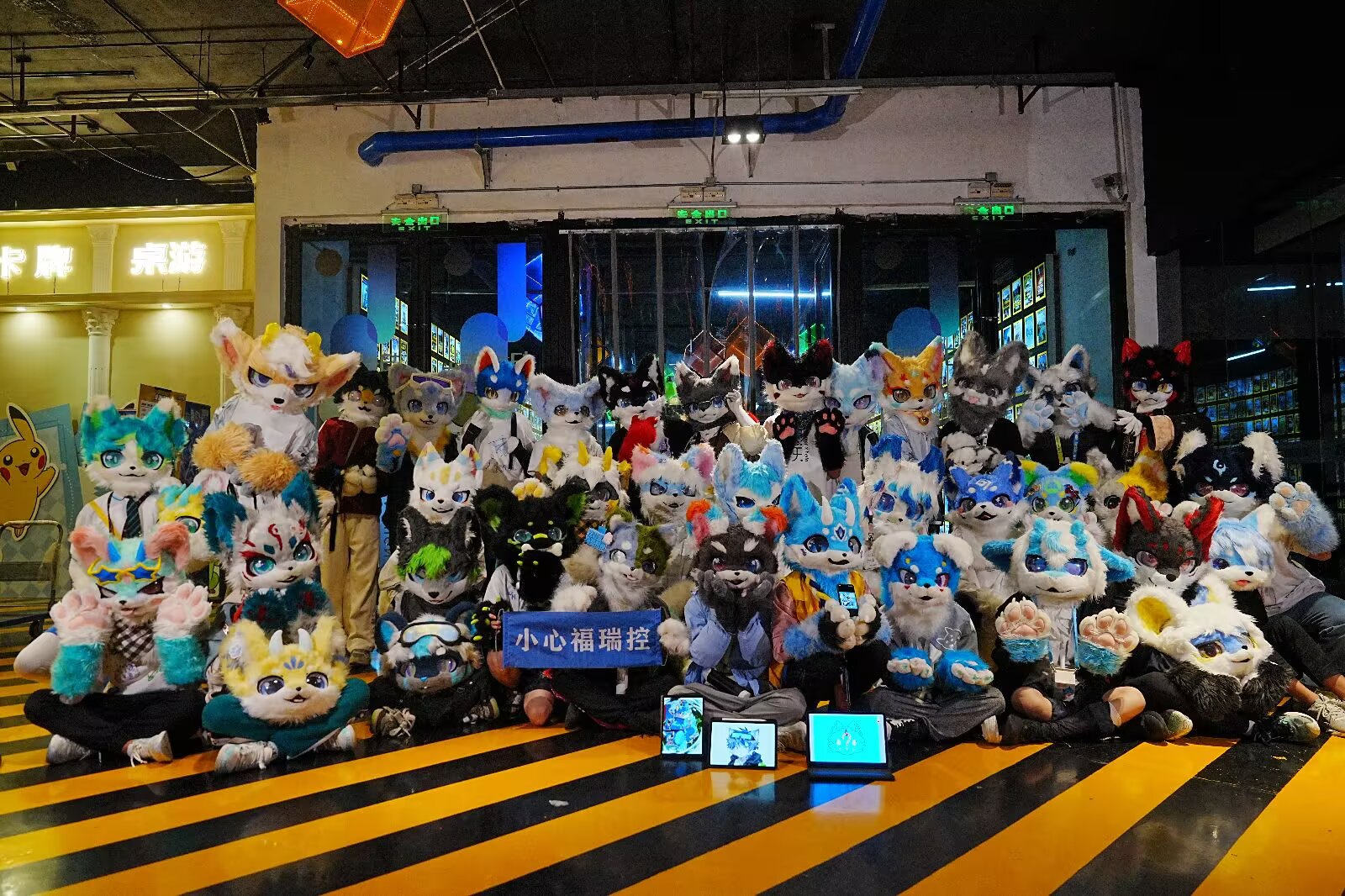 如何Furry圈找到自己同城的兽兽