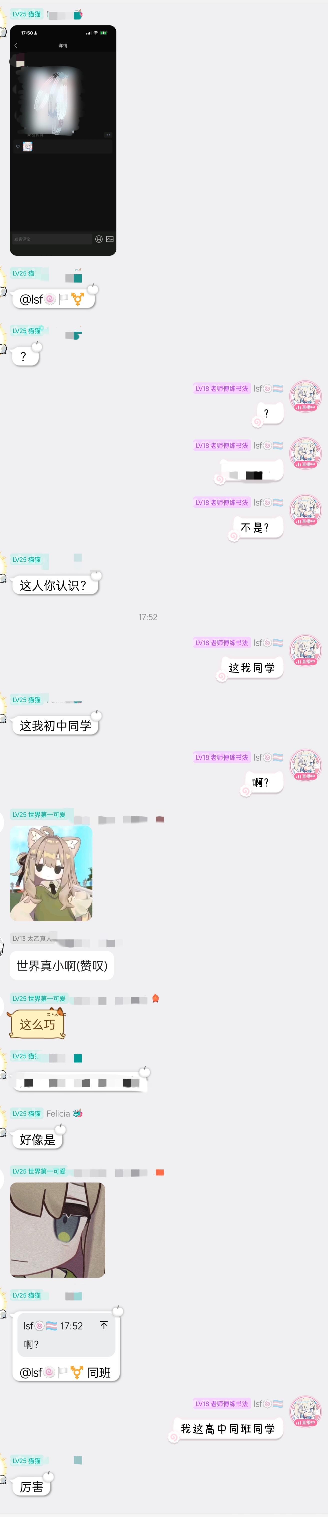 lsf的图，严禁盗用