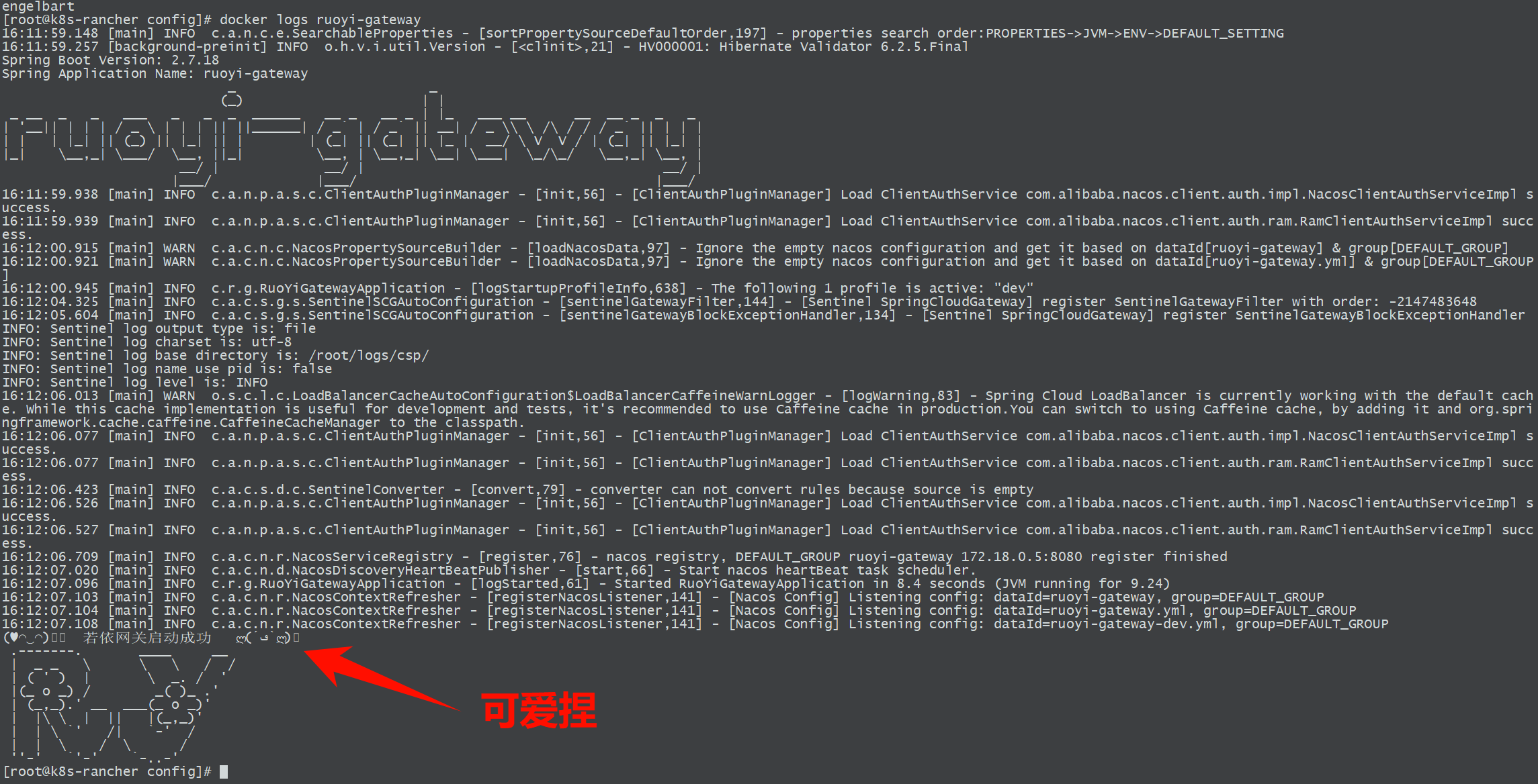网关启动成功日志