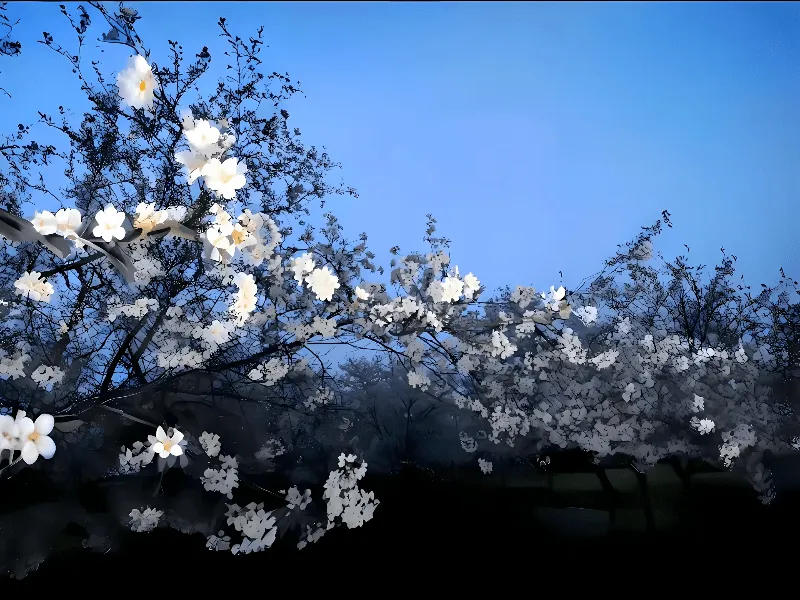 Cover Image of the Post