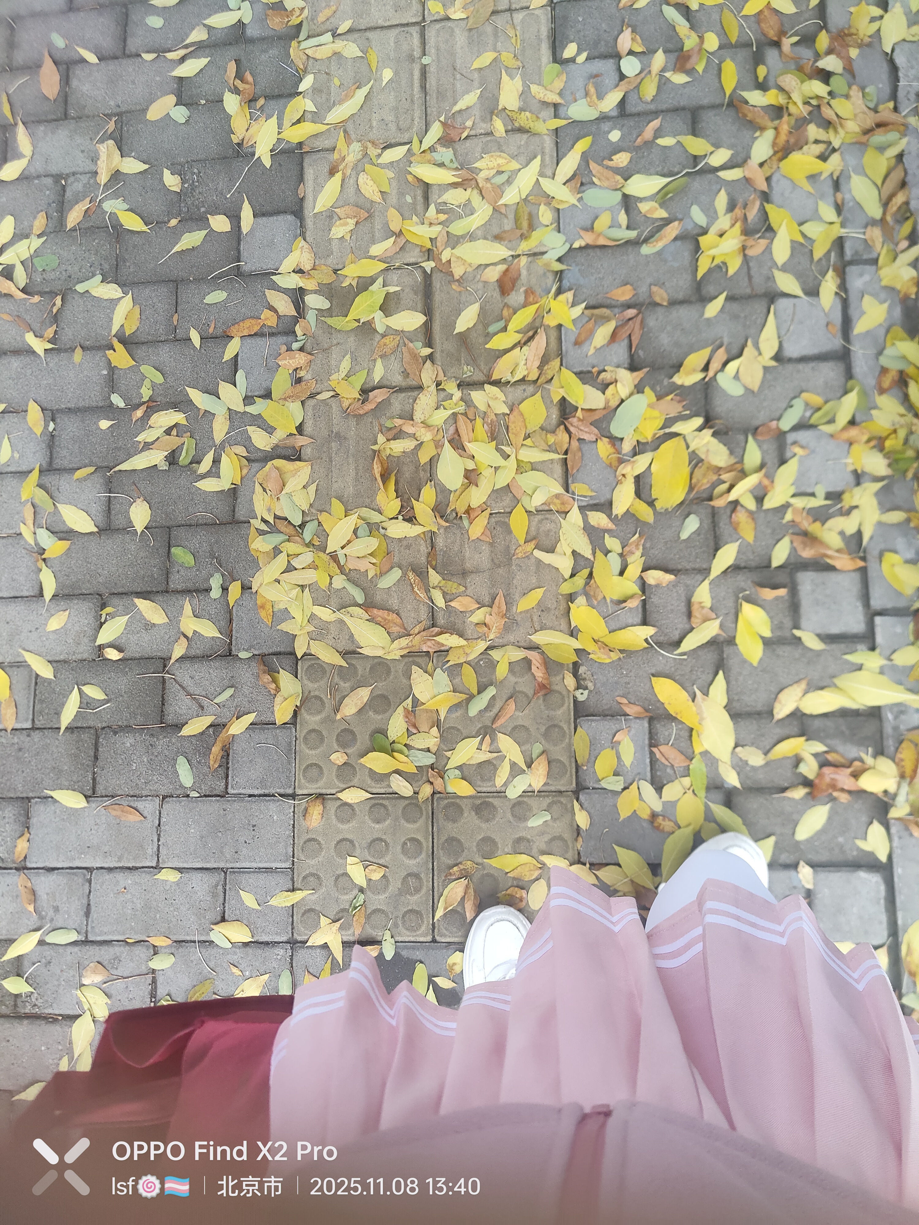 lsf的图，严禁盗用