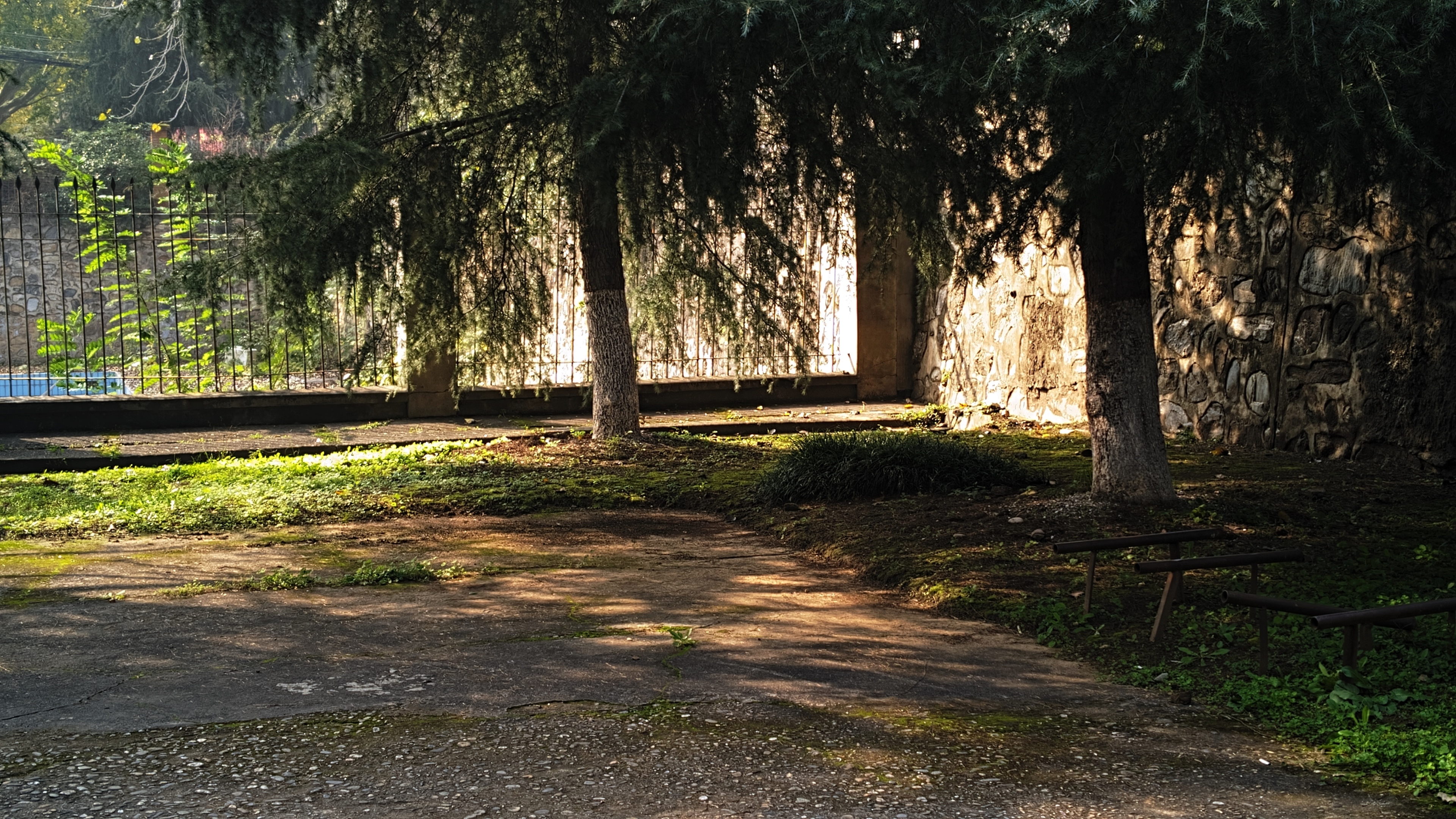 生活随手 一加Ace3V