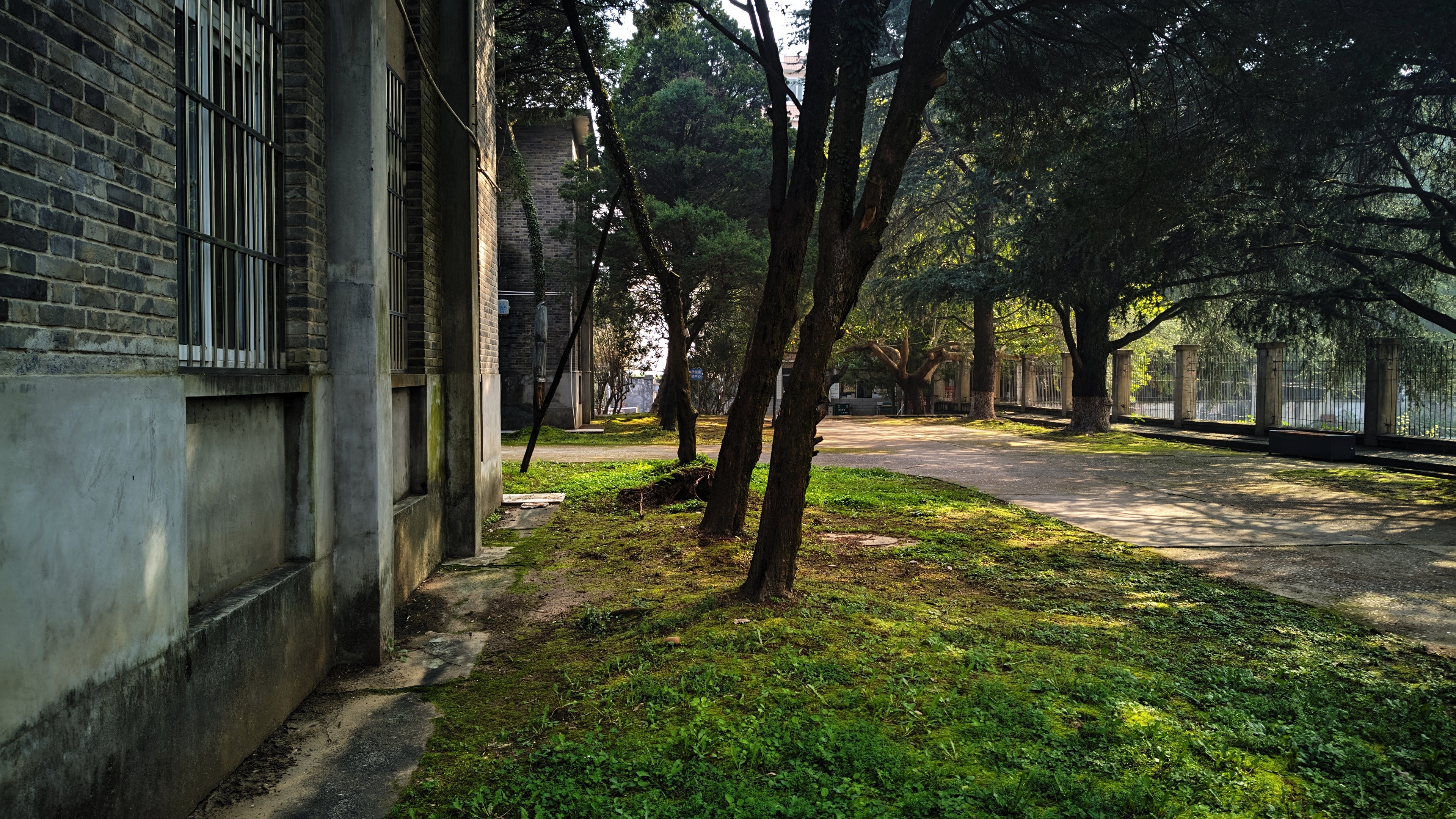 生活随手 一加Ace3V