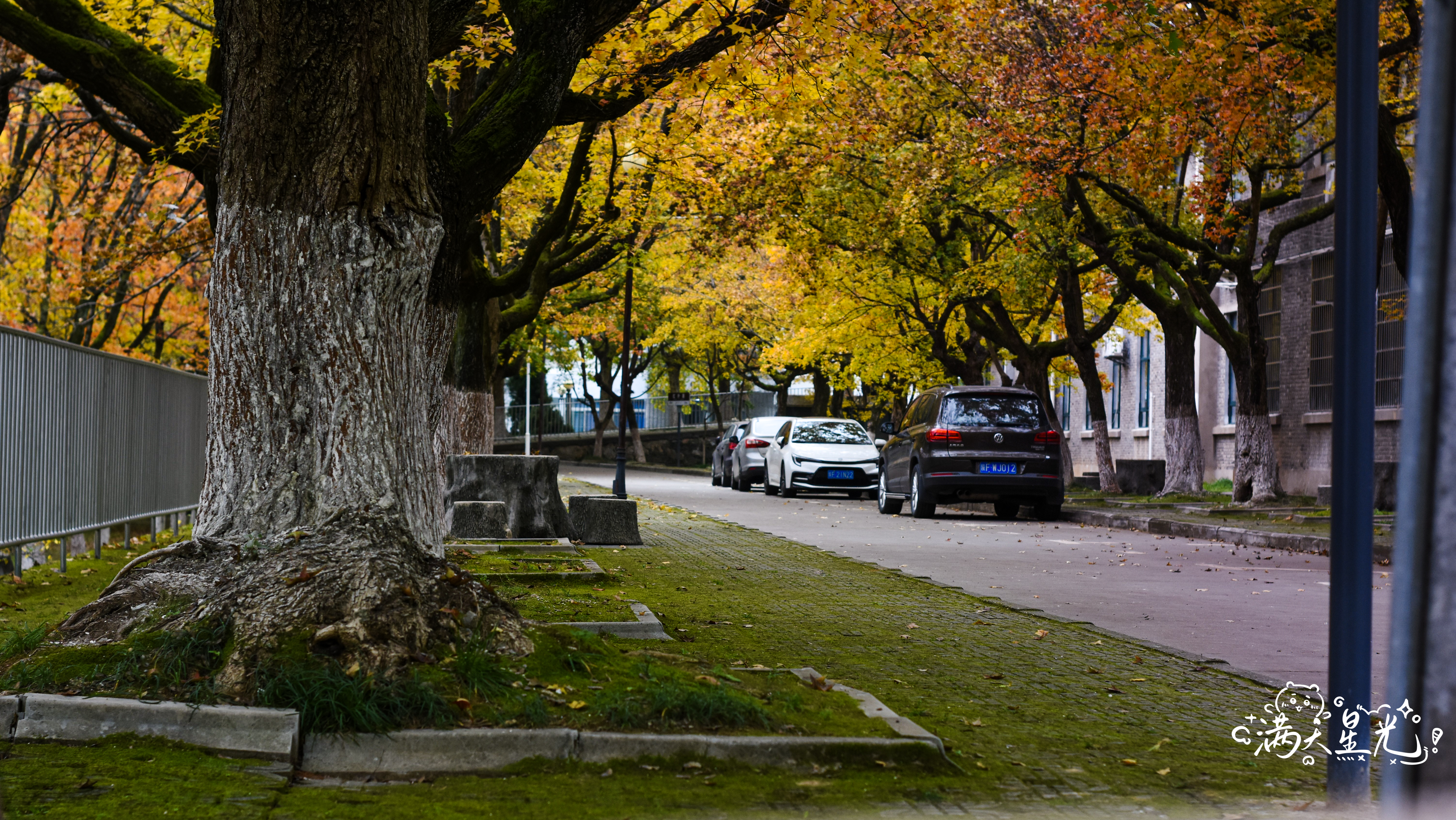 秋日之美 NIKON D7200