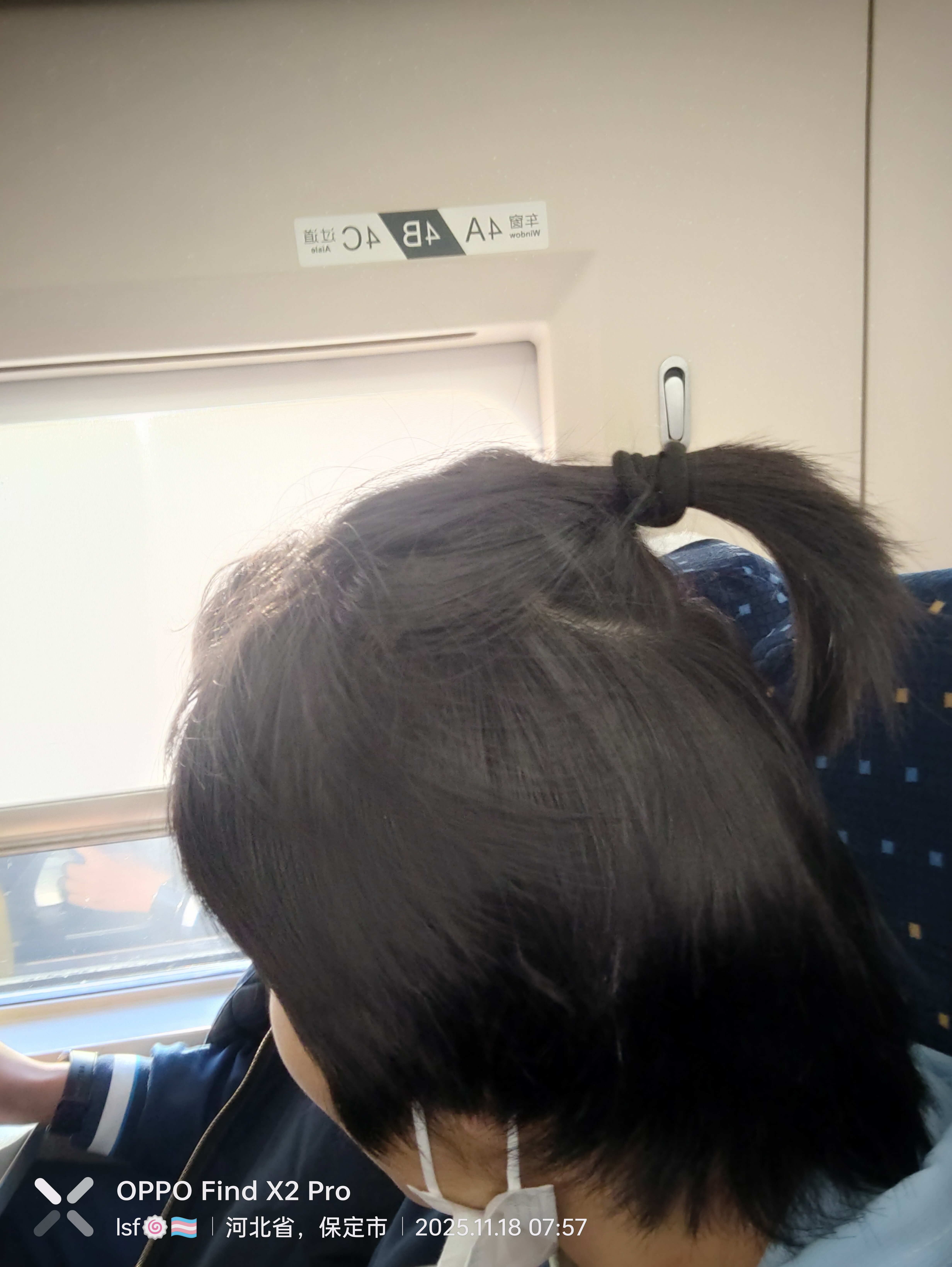 lsf的图，严禁盗用