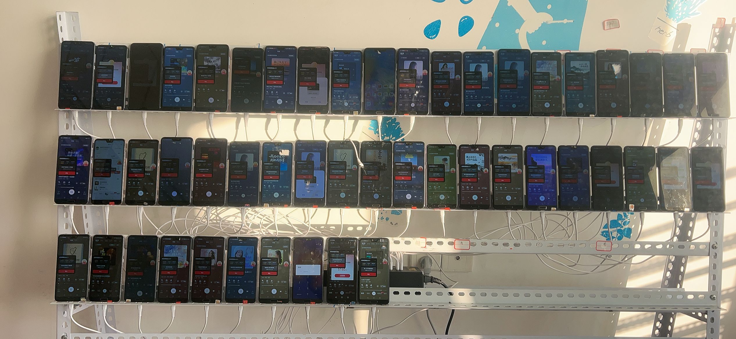 图片[2] - 音乐平台最新首发挂机项目，无需人工操作，单账号单机日收入30+ - 副业研习社