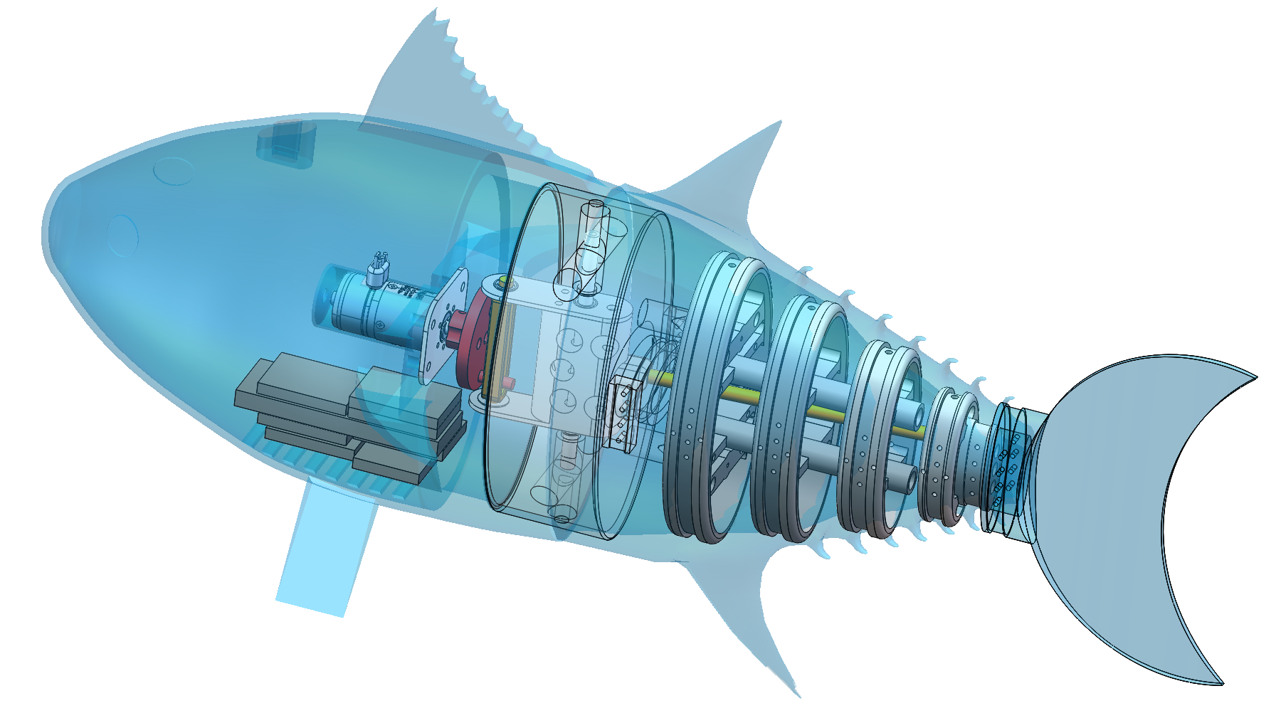 Prototype of the robotic fish.