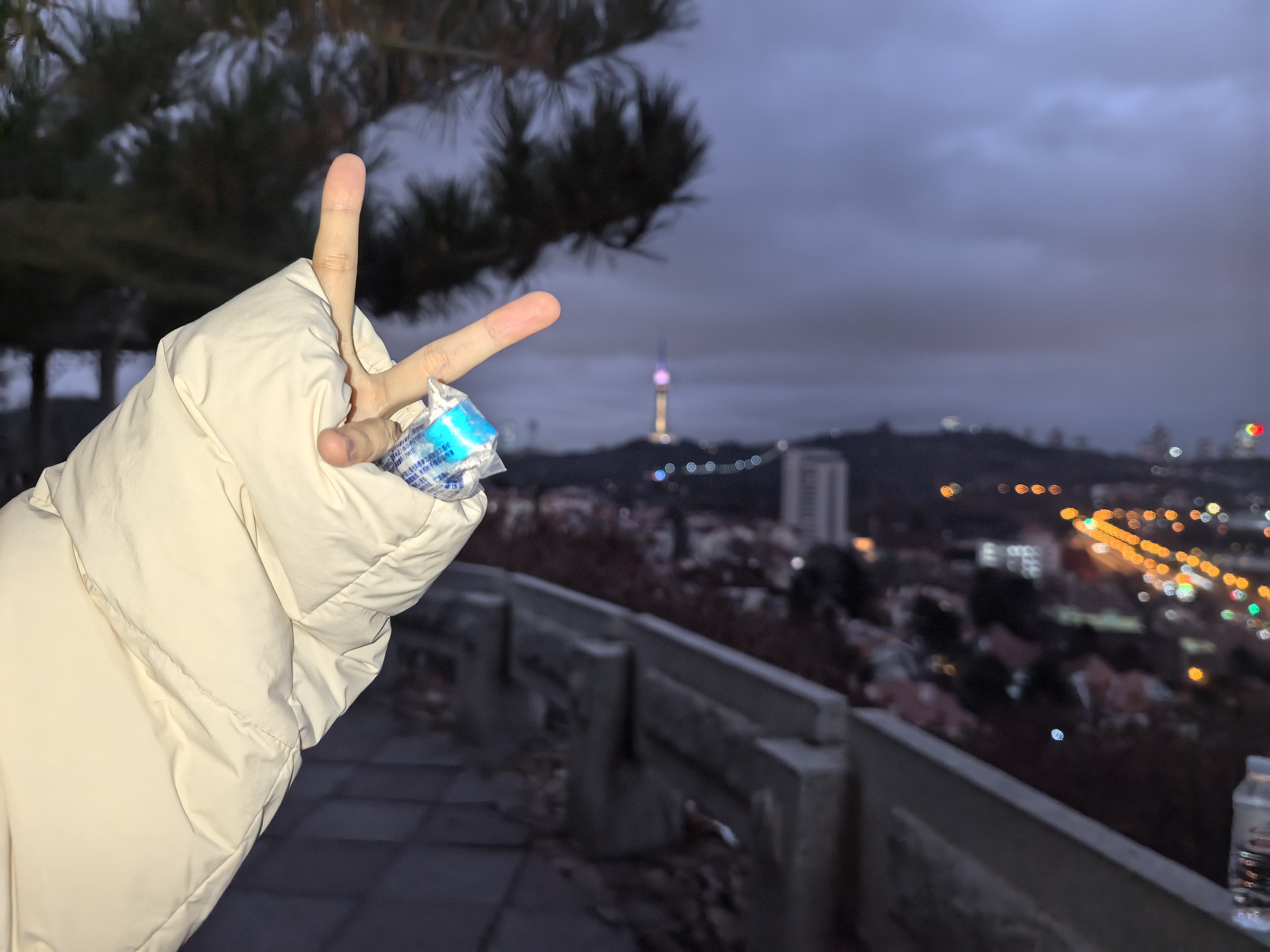 image-20251213131007476