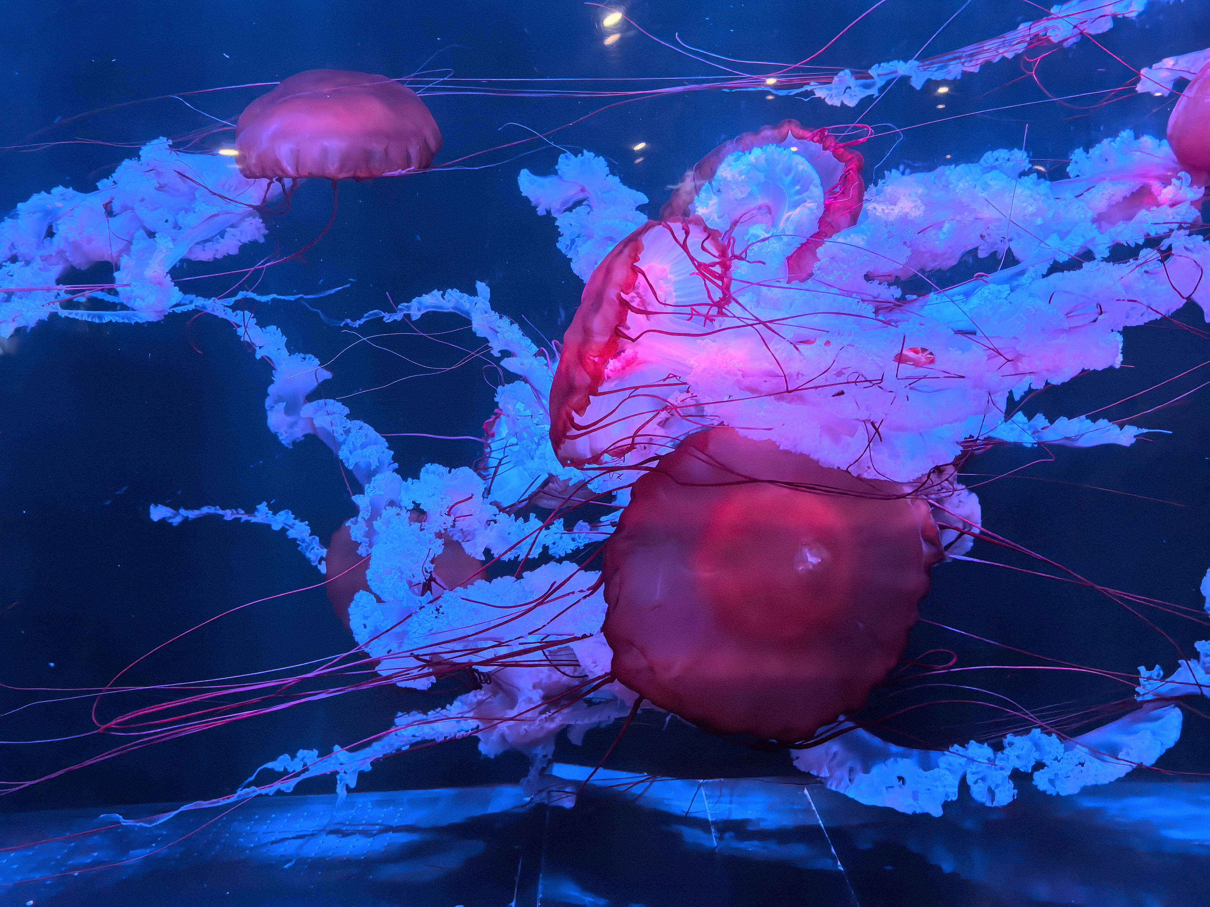 image-20251213132747272