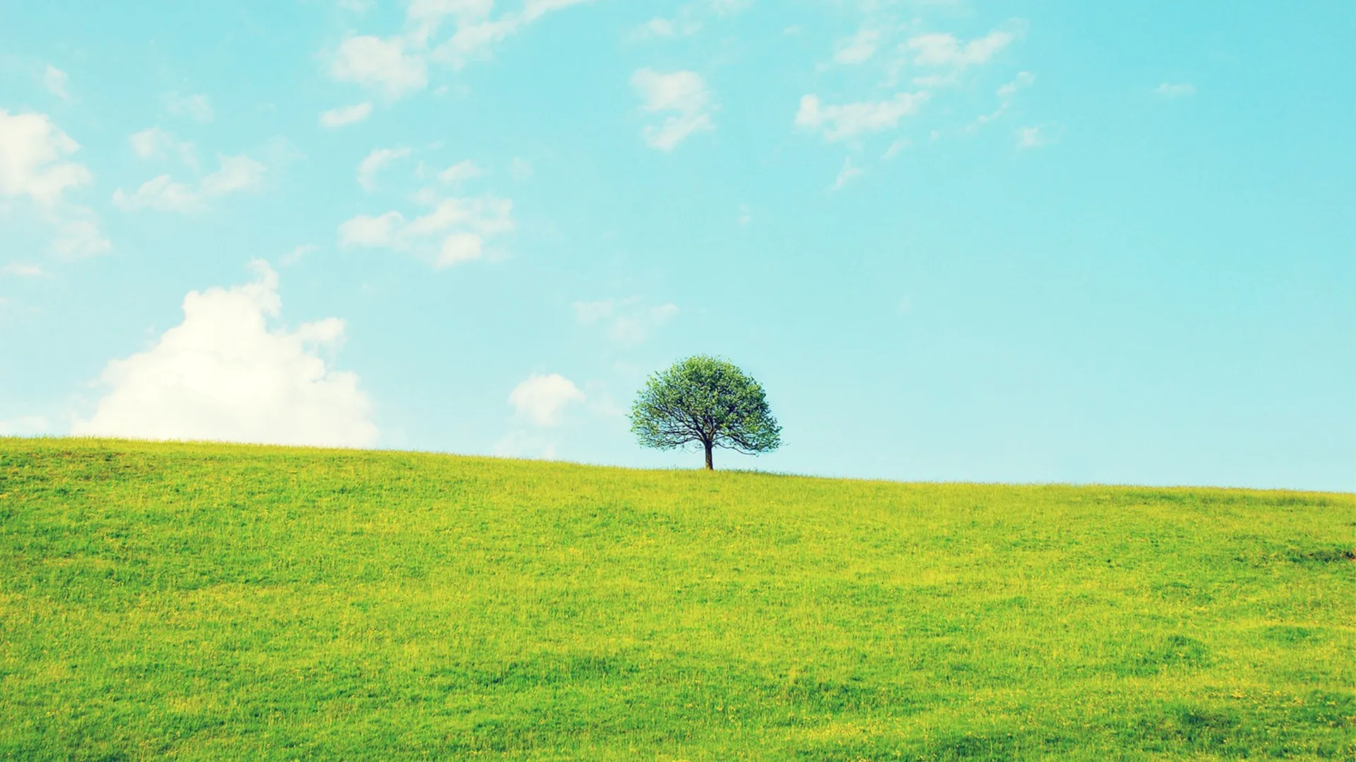 你已急哭-Hexo Butterfly摸头头像教程