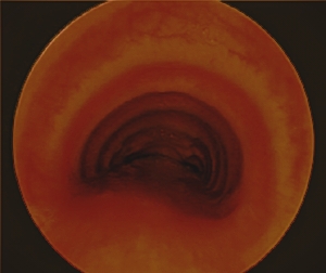 69d8dfde3796c.jpg