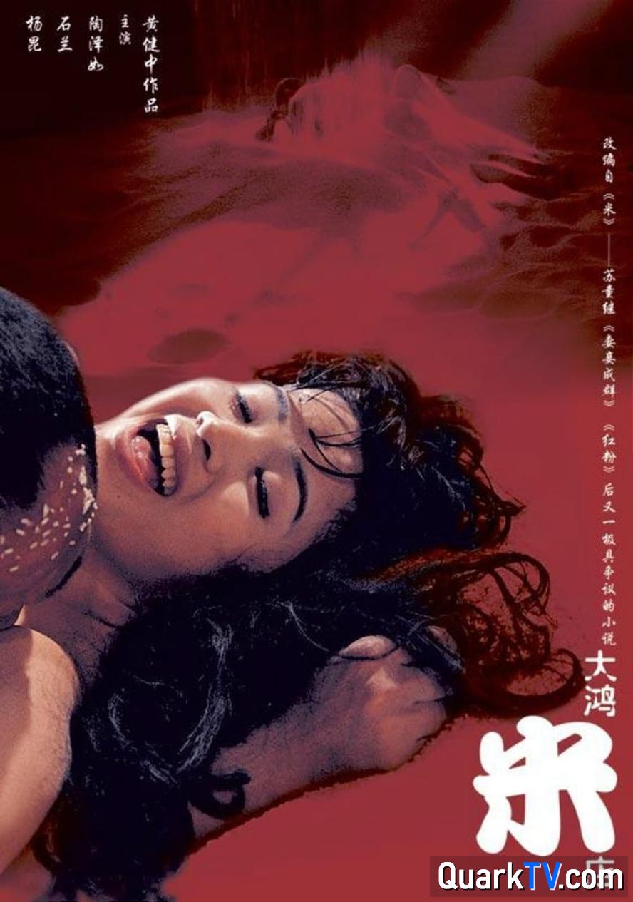 大鸿米店.2004.1080p.大尺度.未删减-泡泡资源